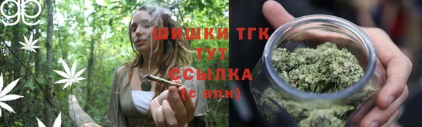 PSILOCYBIN Абдулино